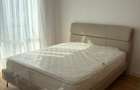 Iancu Nicolae, apartament premium cu gradina privata - 4