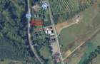 Teren extravilan (inclus in PUG 2026) aproape de Bistrița - 4
