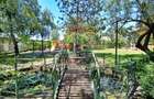 For Sale Educational Campus Baneasa, 12000sqm Land-School-Kindergarden - 17