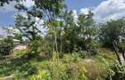 Teren Intravilan 1.188 mp total - Parcelabil - Otopeni Odaile | Str. VERONICA - 1