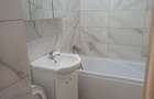 Inchiriere Apartament 2 Camere Dristor - 9