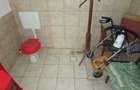 Bradisoru de Jos, Casa 14 Incaperi + Teren 1439MP - 20