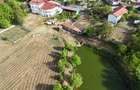 Teisori domeniul verde cu baltă de pește ,Neajlov,,Padure - 6