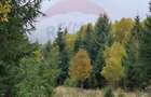 Vânzare teren extravilan, 4 ha pădure, zona turistică Liban, Harghita - 5