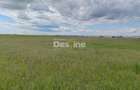 Teren extravilan, 114000 mp, Parc industrial West Park - 3