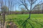 Oaza de liniste cu izvor natural si padurice - 3800 mp intravilan in Mastacani - 2