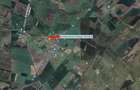 122 ari in Turnu, front 60 m la DN 7B, 15 km de Arad, 1 km de vama - 2