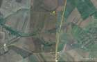 Timisoara Ortisoara-tere agricol  4 hectare comasat - 6