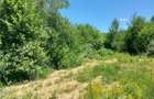 Teren intravilan 3900 mp Porumbacu de Sus, Sibiu - 15