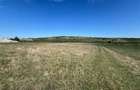 Teren extravilan de vanzare, 5800 mp, zona Chinteni
