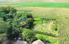 TEREN intravilan  9.126 mp - comuna STEFAN cel MARE - 2