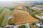 Teren 20.000 mp Arad. Ideal pentru mica industrie, servicii, transport - 5