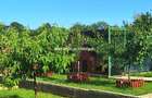 Vanzare casa Peris - 2