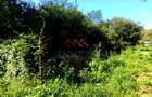 CASĂ DE VÂNZARE | 1.486 MP TEREN | URLETA