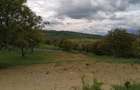 Teren Extravilan Sigmir – 2 Fronturi, Panoramă Deosebită,la Limita cu intravilan