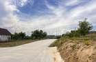 Hala de Inchiriere Mitocasi 350 Mpu I Suceav/Mitocasi I 1300Euro/luna - 10