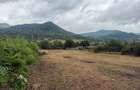 TEREN PREMIUM 4.087 mp – Maramures - 2