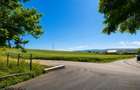 FILM! 1.100 mp teren intravilan in Maierus, Brasov - 5
