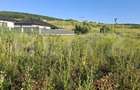 Teren intravilan, 1000 mp, zona Central - Livezeni - 1