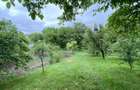 Proprietate speciala: Casa individuala 200 mp utili si 2550 mp teren, Oasului - 4