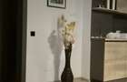Apartament 2 camere -Podu Ros- - 5