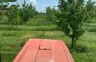De Vânzare – Fermă de Pomi Fructiferi, 48,8 ha, Iancu Jianu, Jud. Olt - 19