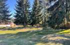 Teren Intravilan de 3300 mp de Vanzare in Marisel - 1