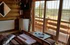 RATE Pensiune 12 cam Superba*** malul Lac Mocearu piscina ,16277mp - 12