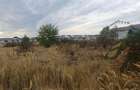 Teren de Vanzare | Domnesti | Intravilan | 650 MP - 2