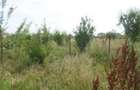 Teren intravilan , Clinceni - 2
