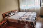 Apartament 2 camere vanzare Grigorescu zona linistita - 7