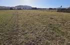 TEREN DE VÂNZARE – ZONA VÂRTEJ, ÎNTORSURA BUZĂULUI - 9
