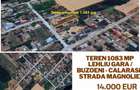 Teren 1083 mp - Lehliu Gara / Buzoeni - Calarasi - Strada Magnoliei - 5