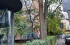 Apartament 2 camere Iuliu Maniu - 2