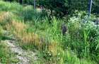 Teren intravilan cu acces din proprietate la pădurea Spătaru utilități la stradă - 6