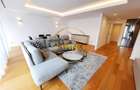 Primaverii, 4 room spacious, furnished apartment, large terrace, parking - 2