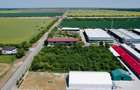 Teren intravilan mixt Buftea – Corbeanca MEGAOCAZIE | 2527 mp | Ideal investiție - 5