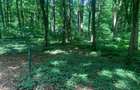 46644 mp teren in Padurea Baneasa proiect exclusivist - 13