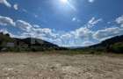 TEREN INTRAVILAN 2,26 HA | SUCEVITA | - 9