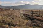 Teren intravilan 560 mp-ideal casa-Zona Aerodrom - 1