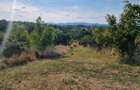 Teren intravilan 728 mp – ideal pentru cabană – 19.000 € - 2