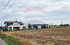 Vanzare Teren 9,032mp Balotesti / Strada I. C. Bratianu - 15