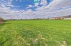 Teren extravilan, 1 ha, în orașul Sebiș, Arad - 7