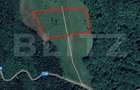 Teren extravilan de vanzare, 2,4 hectare, zona drumul Tarpiului - 4