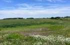 Teren intravilan, 1200 mp – Cârcea, zona Veropan (Depozitul legume-fructe) - 1