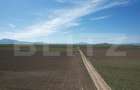 Teren extravilan , 22300MP,  zona Prejmer - 9