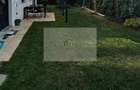 Parcare si boxa incluse/Grădină 150 mp/Cartier Buna Ziua/Home Garden - 9