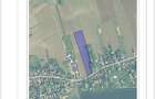 Piscu, Ciolpani, teren intravilan 1000 mp, str. Campului,aproape Muzeu, 29 eur - 1