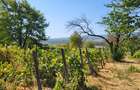 Casă de vânzare în mediul rural – liniște, natură și confort - 10