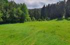 TEREN DE VANZARE INTRAVILAN - 5
